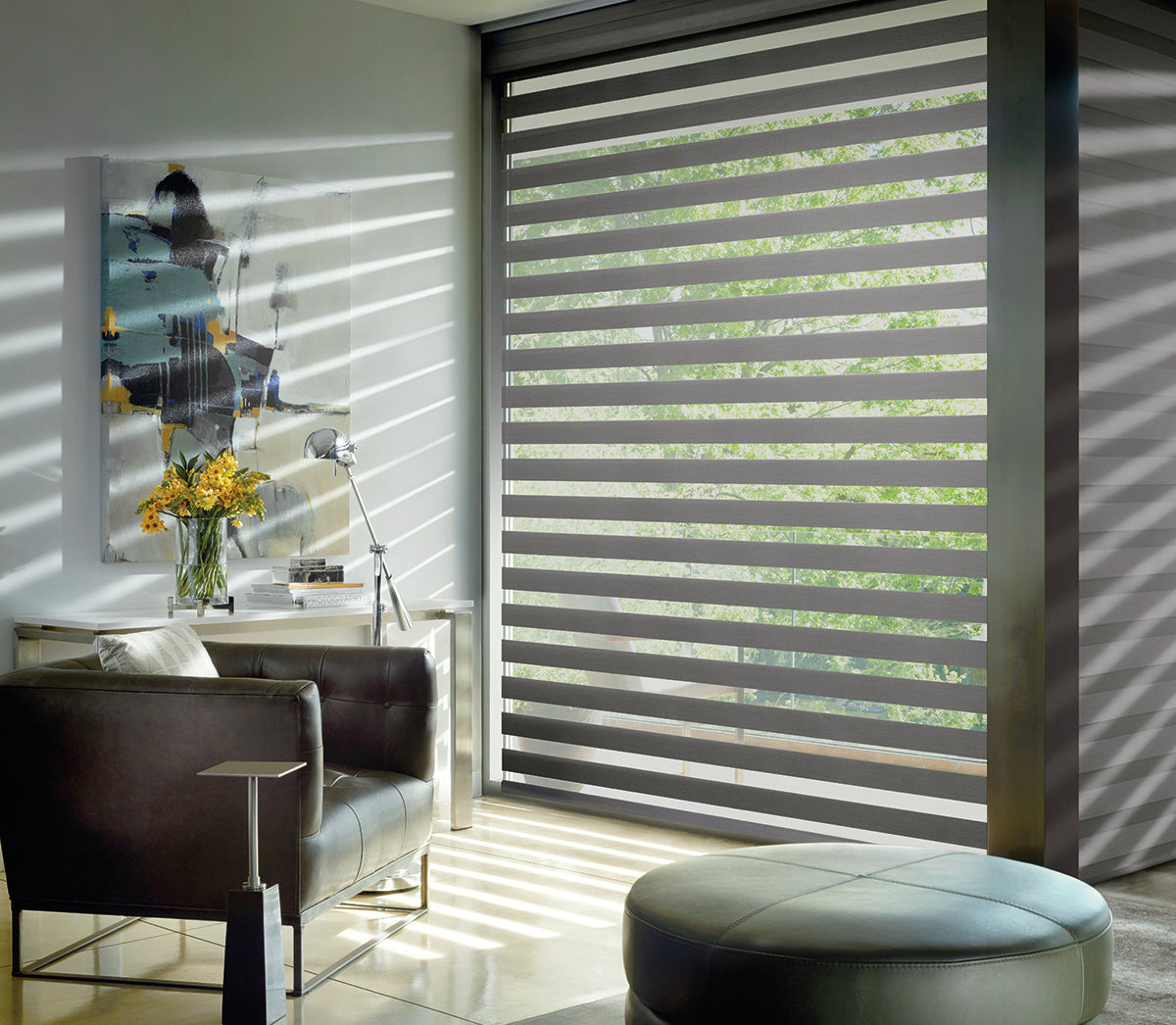 Banded Shades Hunter Douglas & Shades